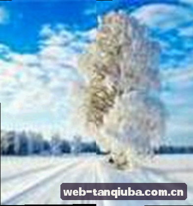 吴磊